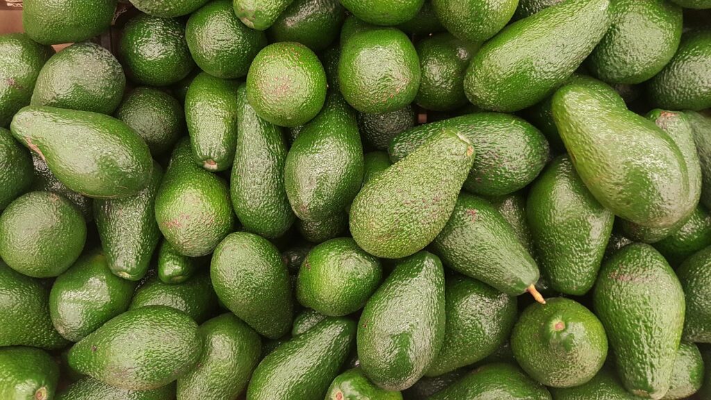 Abacate no cabelo? O guia definitivo para cachos nutridos, brilhosos e definidos